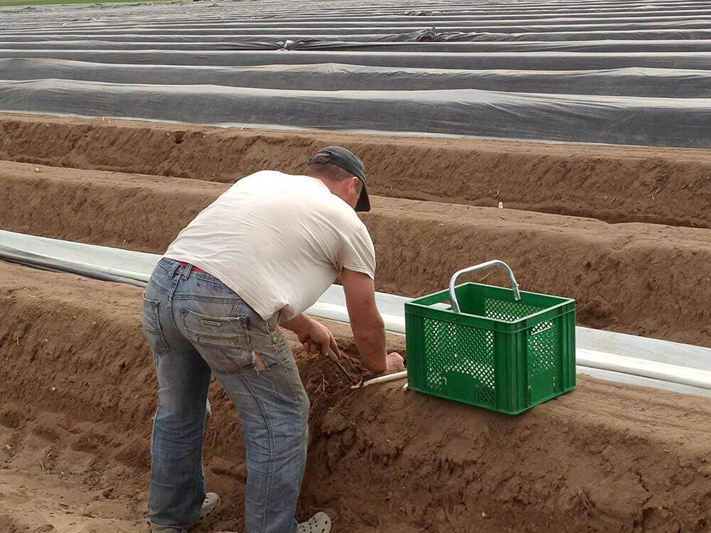 La-ferme-hartmann-4-1