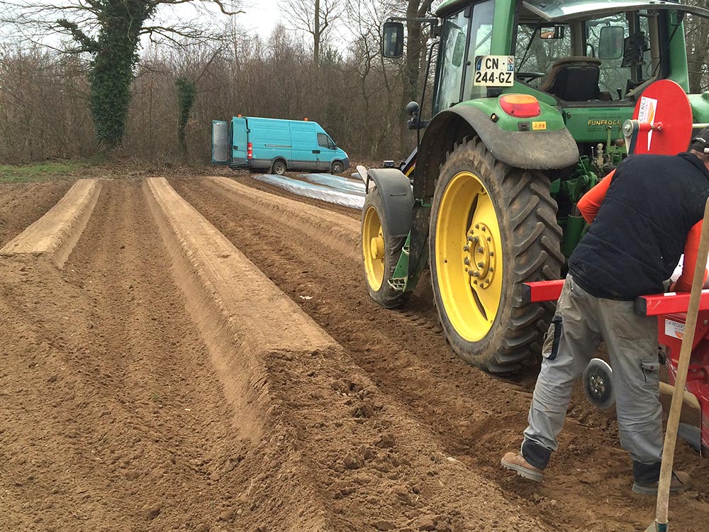 ferme-hartmann-asperges