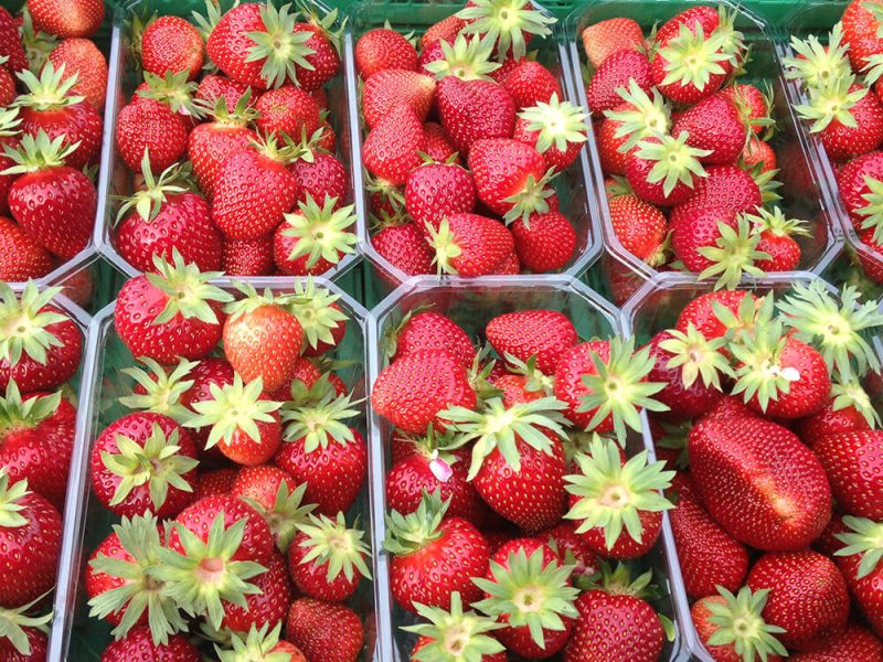 Le-chalet-ferme-hartmann-1