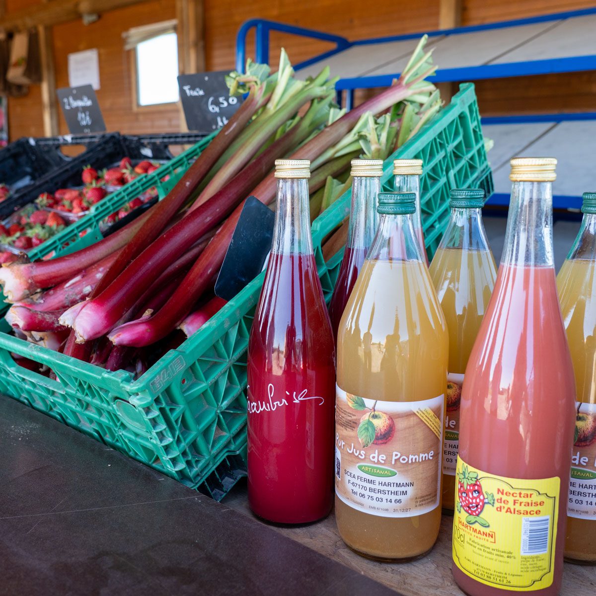 carrre-web-ferme-hartmann-10