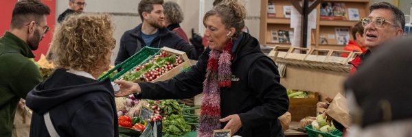 carrre-web-ferme-hartmann-89